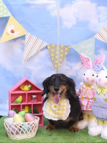 20240305モカちゃん